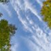 Greening and blueing | Eurozine