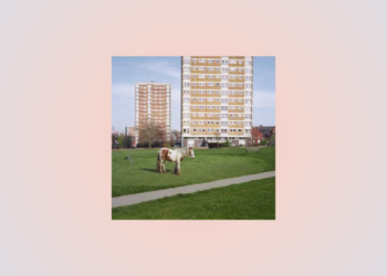 Six Artists Behind Standout Album Covers In August