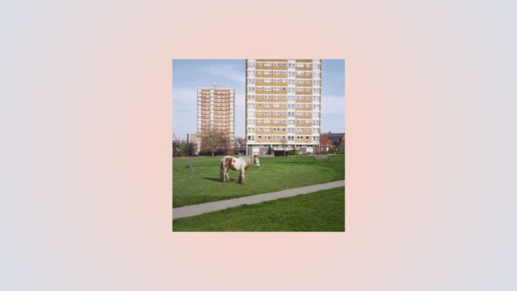 Six Artists Behind Standout Album Covers In August