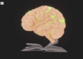How Studying Adjustments the Means Your Mind Works