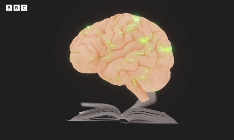 How Studying Adjustments the Means Your Mind Works
