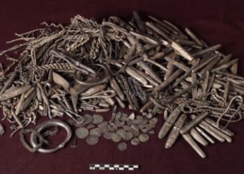 Largest Viking hoard in Denmark present in again yard – The Historical past Weblog