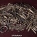 Largest Viking hoard in Denmark present in again yard – The Historical past Weblog