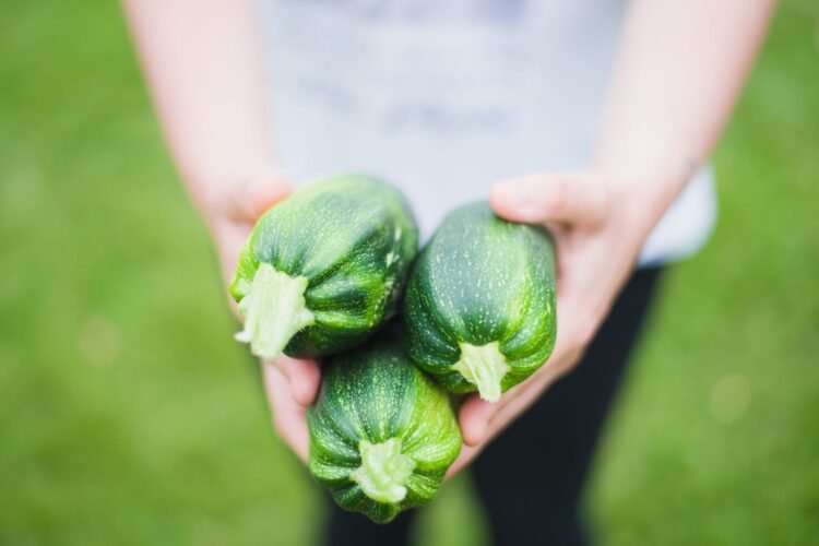 What to Do With Too Many Zucchini: 10 Methods to Use It Up