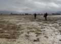 Burning Man Sees Fourth Dying In 4 Years, Competition Gate Closed Once more Due To Climate