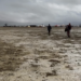 Burning Man Sees Fourth Dying In 4 Years, Competition Gate Closed Once more Due To Climate