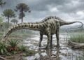 Iconic Diplodocus Found In Spain – First Proof Outdoors North America