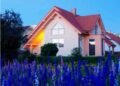 Why Vinyl Alternative Home windows Are a Sensible House Enchancment