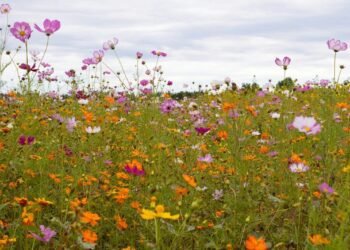 Have a Pretty (Lengthy) Weekend.