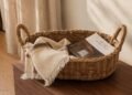 Inexpensive Fall House Décor Beneath $100 That Seems to be Something However