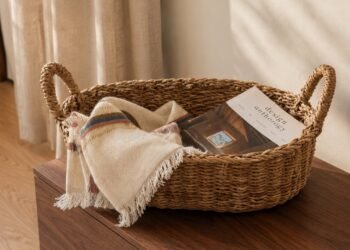 Inexpensive Fall House Décor Beneath $100 That Seems to be Something However