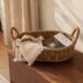 Inexpensive Fall House Décor Beneath $100 That Seems to be Something However