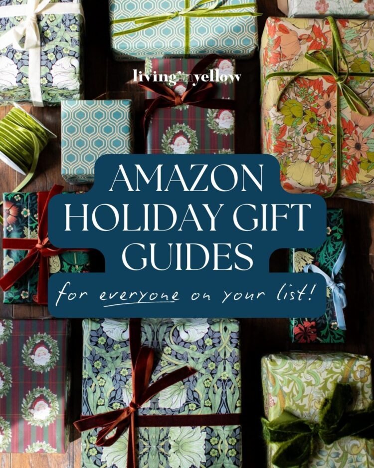 50+ Amazon Vacation Reward Guides for Everybody