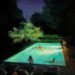 Paul Ferney Paints Glowing Swimming Swimming pools and Quiet Summer season Nights That Really feel Like Reminiscences You By no means Wish to Lose