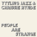 Yttling Jazz & Chrissie Hynde Share Cowl Of The Doorways’ “Individuals Are Unusual”: Pay attention