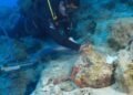 4,700-year-old amphorae discovered off coast of Turkey – The Historical past Weblog
