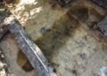 Uncommon early medieval boat burial present in Poland – The Historical past Weblog