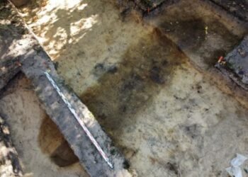 Uncommon early medieval boat burial present in Poland – The Historical past Weblog