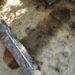 Uncommon early medieval boat burial present in Poland – The Historical past Weblog