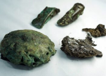 Bronze Age Blyth Hoard has distinctive ingot, moulds – The Historical past Weblog