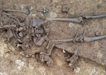 Celtic grave with distinctive animal providing present in Bavaria – The Historical past Weblog