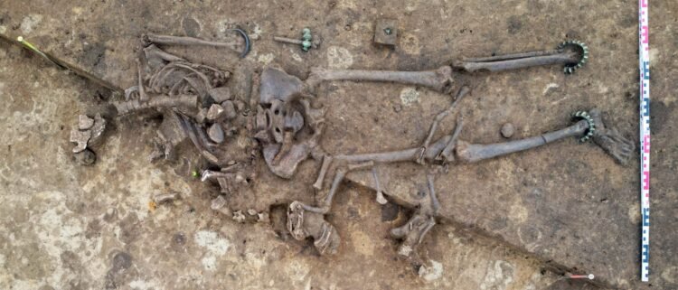 Celtic grave with distinctive animal providing present in Bavaria – The Historical past Weblog