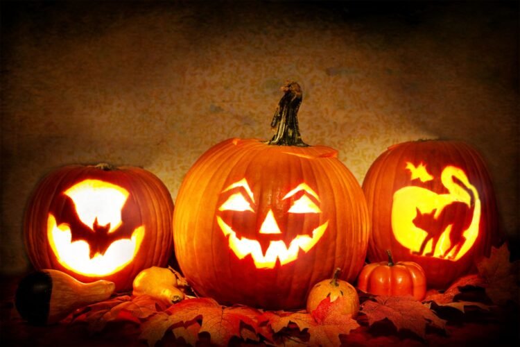 Easy methods to Make Your Carved Pumpkin Final Longer: 6 Suggestions