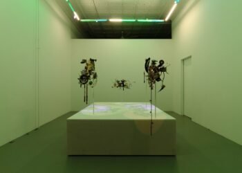 Prairie, Adventurous Chicago Gallery, to Shut After Practically a Decade