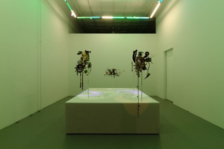 Prairie, Adventurous Chicago Gallery, to Shut After Practically a Decade