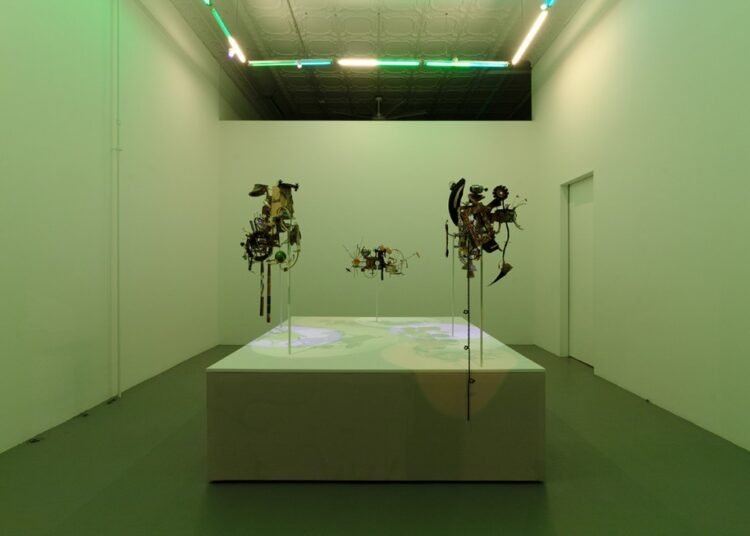Prairie, Adventurous Chicago Gallery, to Shut After Practically a Decade