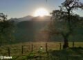 Mesoamerican Observatory Found in Mexico’s Sierra Norte Mountains