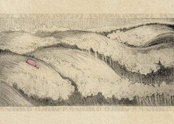 Irena Ocepek: Drawing the Quiet Pulse of Place