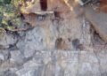 Late Roman-era home minimize into bedrock present in Corsica – The Historical past Weblog