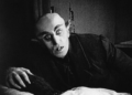 Watch 150 Traditional Horror and Suspense Movies Free On-line: Nosferatu, The Cupboard of Dr. Caligari, Carnival of Souls, Evening of the Residing Useless & Extra