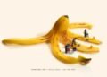 Tatsuya Tanaka: The Artwork of Seeing In any other case