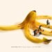 Tatsuya Tanaka: The Artwork of Seeing In any other case