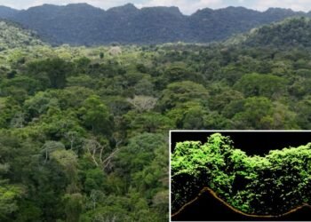 LiDAR Reveals How The Historical Maya Civilisation Formed Right now’s ‘Pristine’ Rainforests